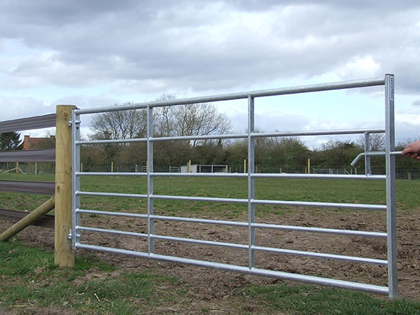 Gate-field