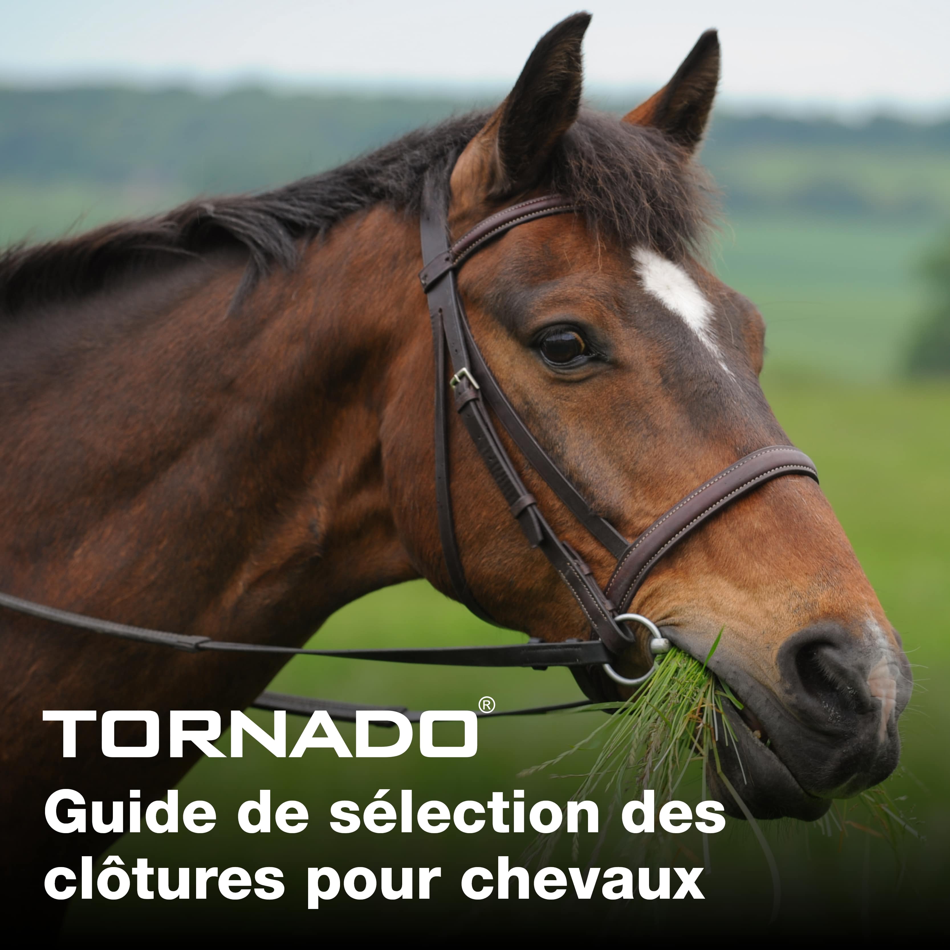 FRENCH Horse_selection_guide_main