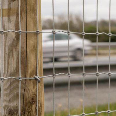 road-fencing2-1024x768